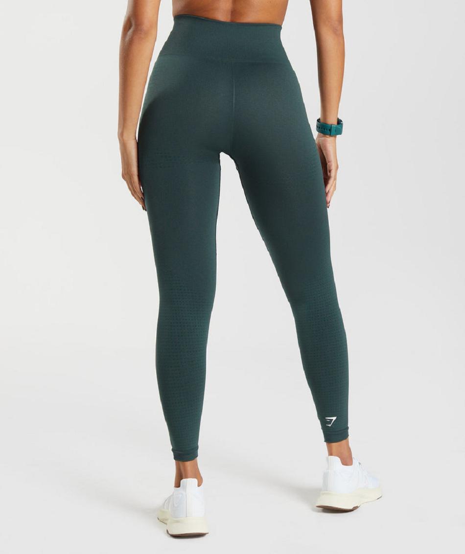 Gymshark Vital Seamless 2.0 Ženske Tajice Zelene | HR 4102GSO